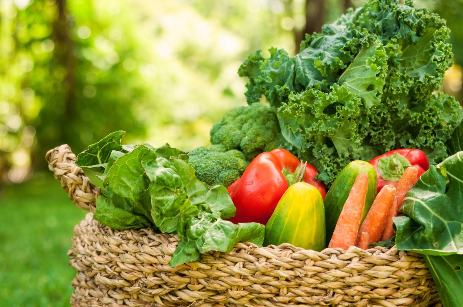 ¿Es beneficiosa la dieta alcalina?