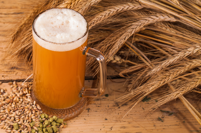 Los sorprendentes beneficios de la levadura de cerveza