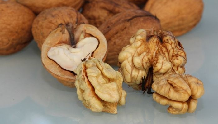 El consumo de nueces evita el cáncer de colon