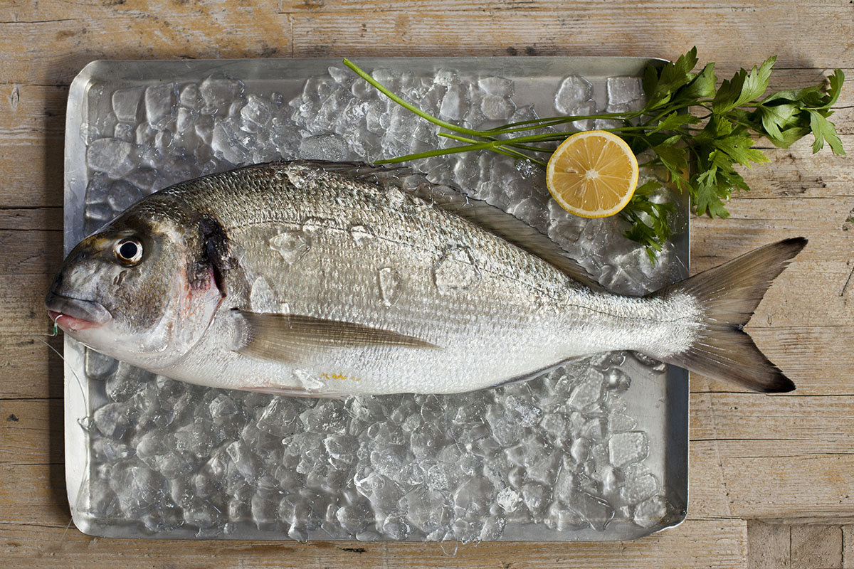 Los 5 mejores pescados que podemos comer