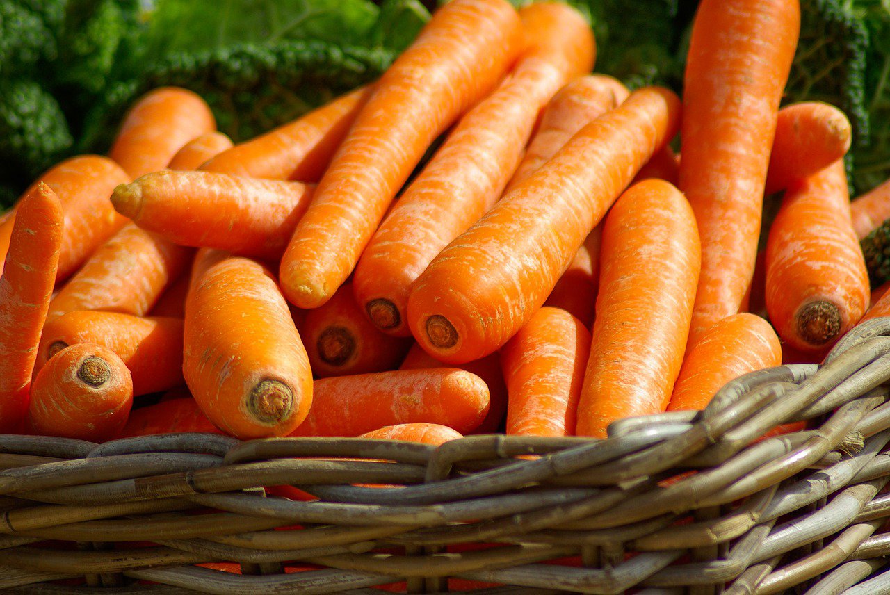 Los sorprendentes beneficios de las zanahorias Los sorprendentes beneficios de las zanahorias