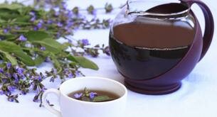 Infusión de salvia: lo mejor para un vientre plano