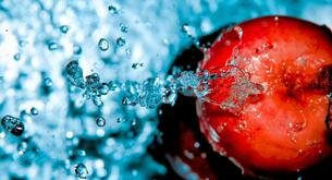 ¿Cuáles son los alimentos que tienen más agua?