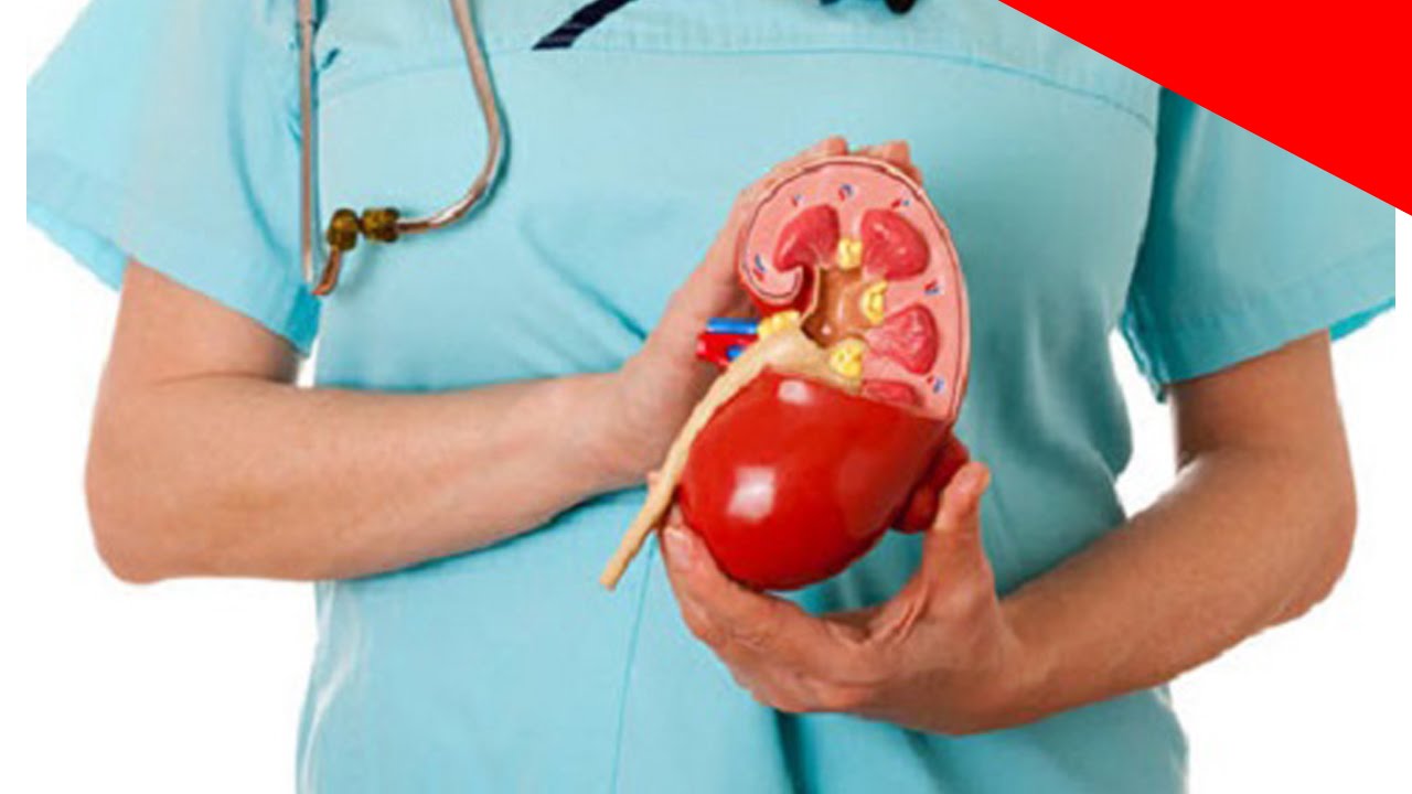 Señales de que puedes tener una enfermedad renal Señales de que puedes tener una enfermedad renal