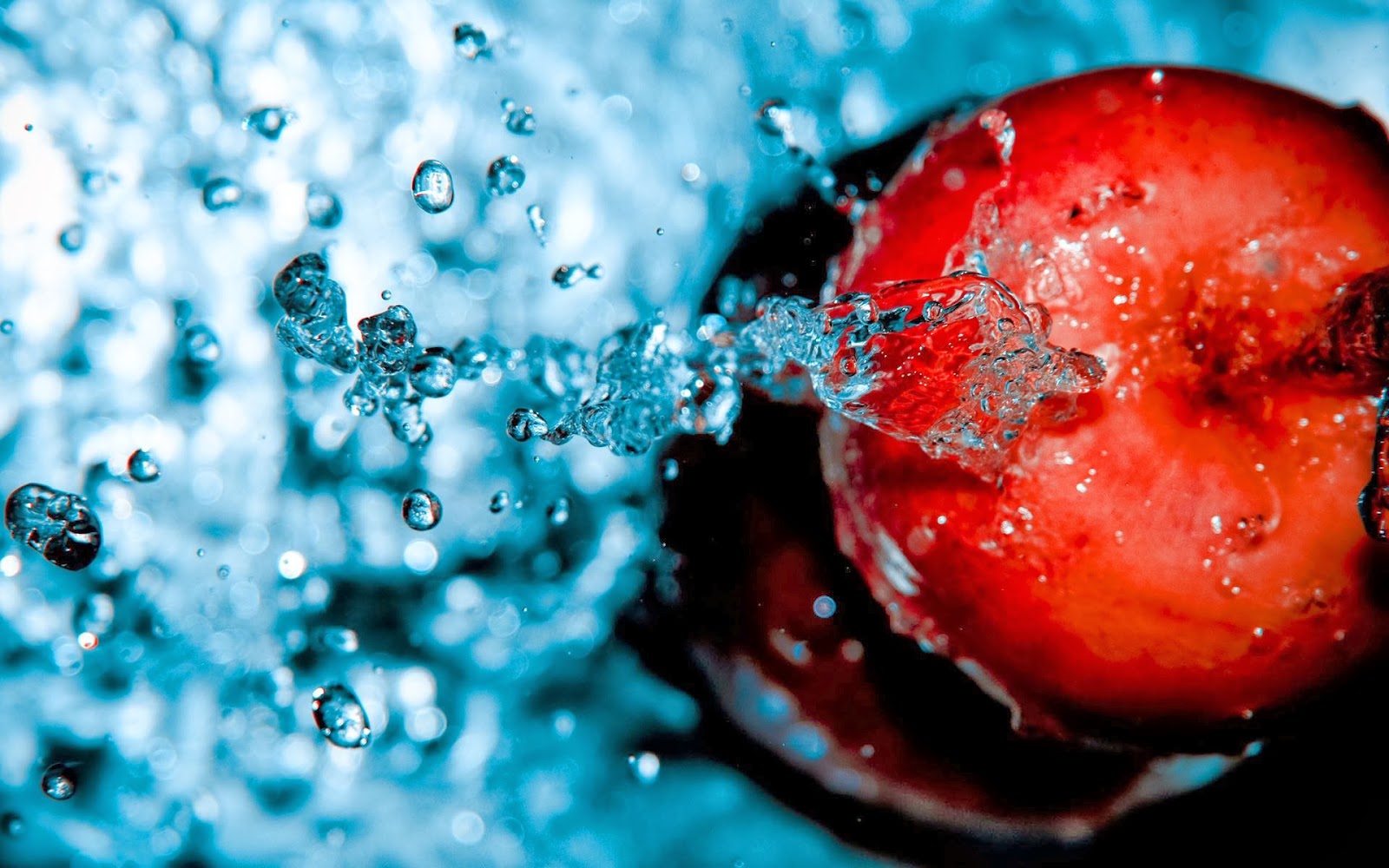 ¿Cuáles son los alimentos que tienen más agua?