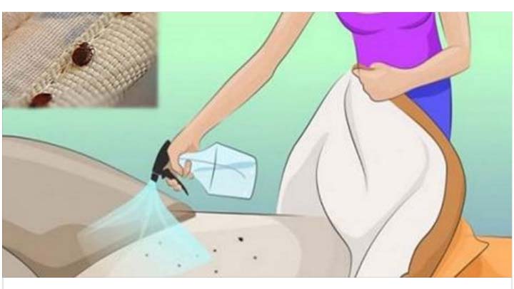 Pulveriza la cama con alcohol y los resultados fueron sorprendentes Pulveriza la cama con alcohol y los resultados fueron sorprendentes
