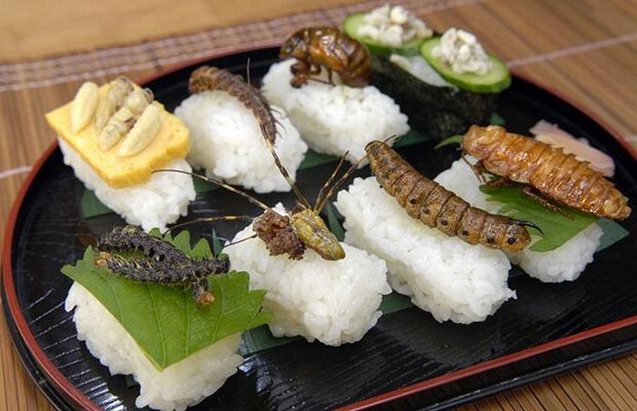 Sushi con insectos... ¿Una nueva moda?