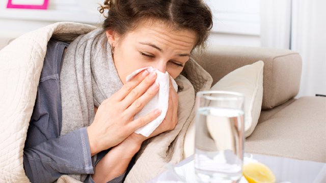 Los mejores remedios caseros contra los virus y las bacterias Los mejores remedios caseros contra los virus y las bacterias