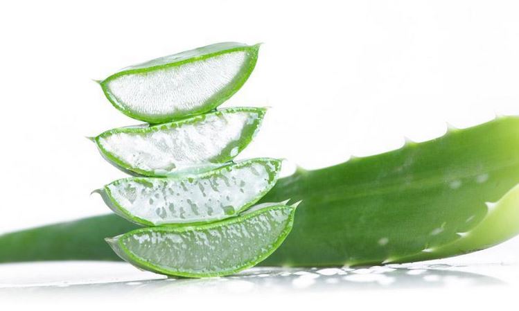 Propiedades Aloe Vera