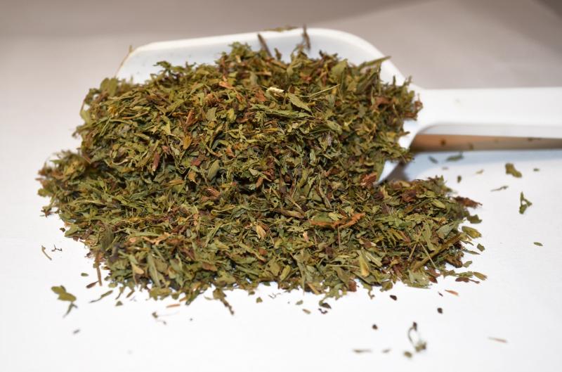¿Dónde comprar stevia? ¿Dónde comprar stevia?