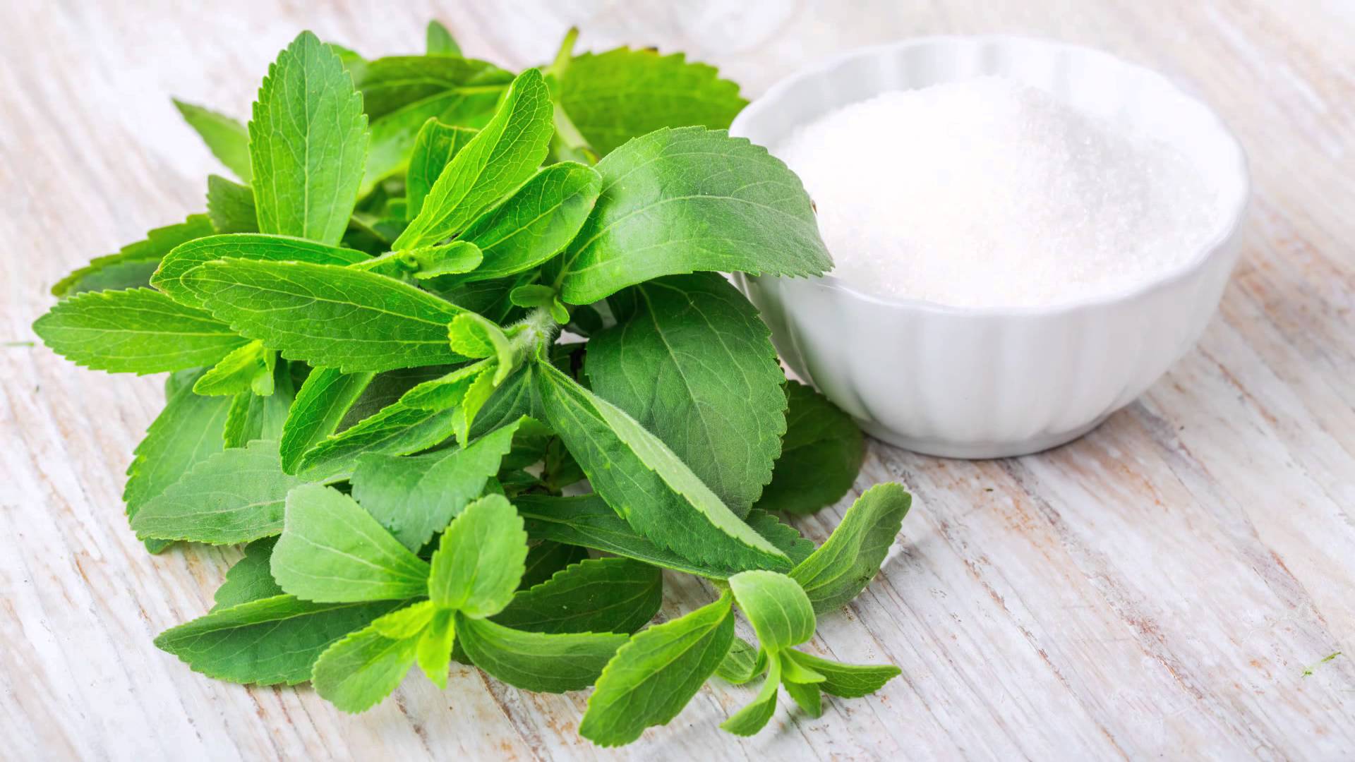 origen de la stevia