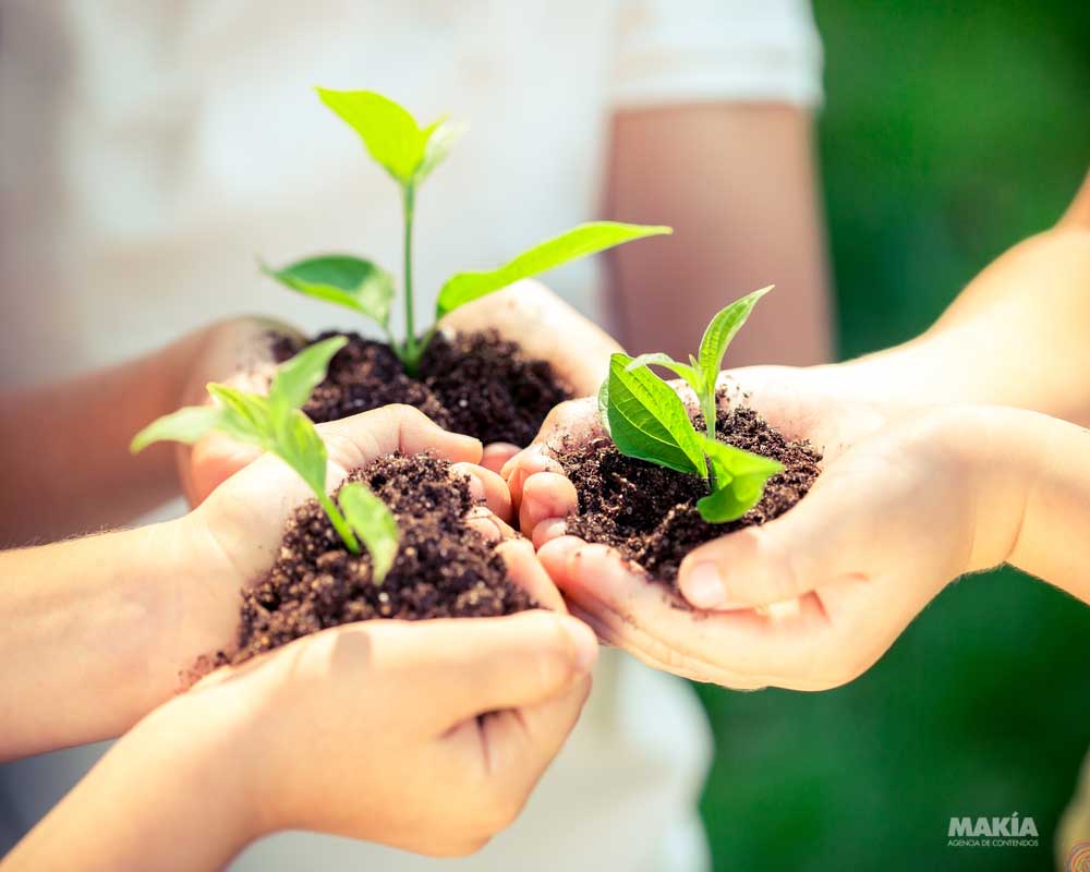 Los mejores 20 consejos para cuidar el medio ambiente