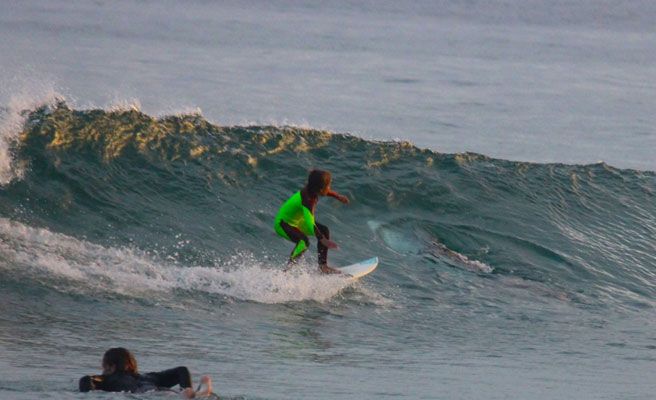 niño surfea sobre tiburon blanco