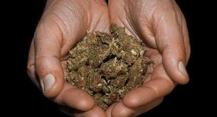 Llama a la policía para quejarse del precio de la marihuana