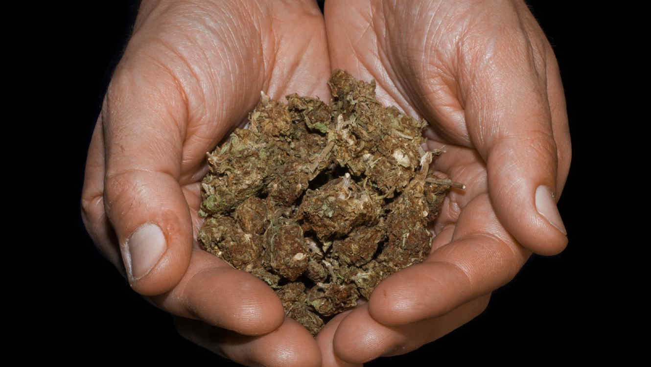 Llama a la policía para quejarse del precio de la marihuana Llama a la policía para quejarse del precio de la marihuana