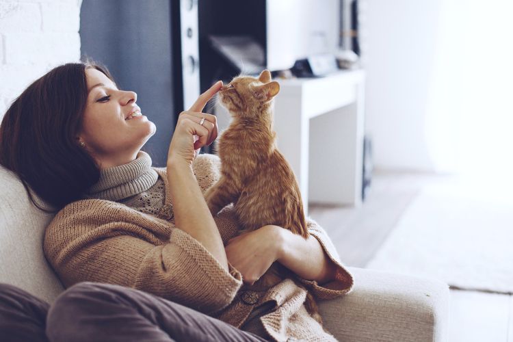 10 rasgos de las personas con una inteligencia superior a la media 10 rasgos de las personas con una inteligencia superior a la media