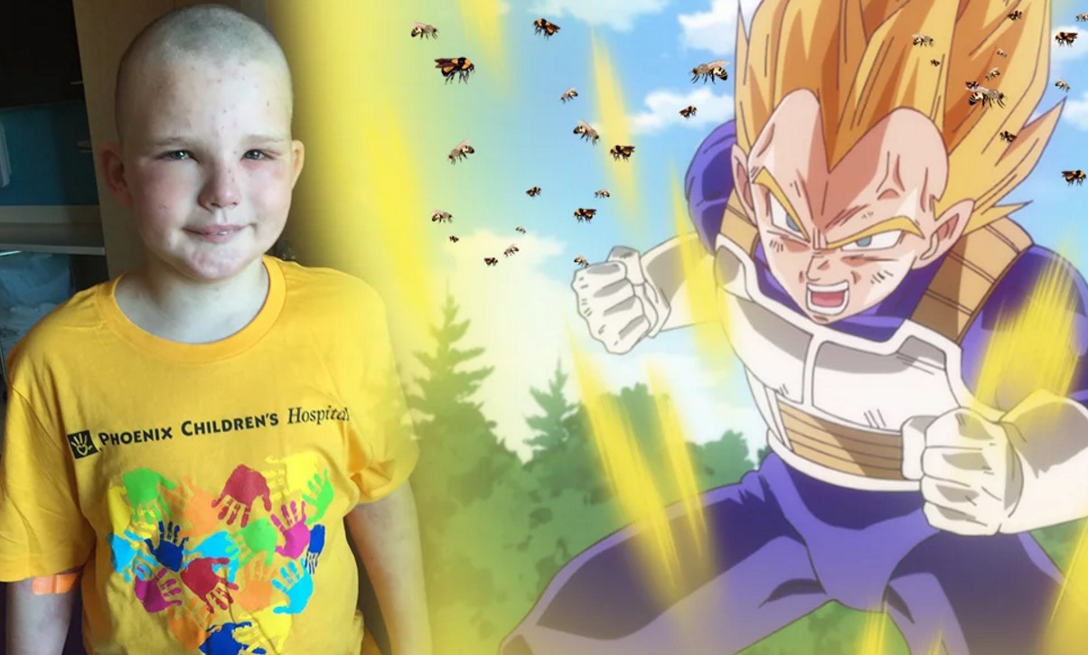 Sobrevive a 400 picaduras de abejas asesinas gracias a Dragon Ball