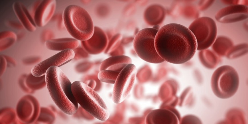 ¿Cómo saber si tengo anemia?