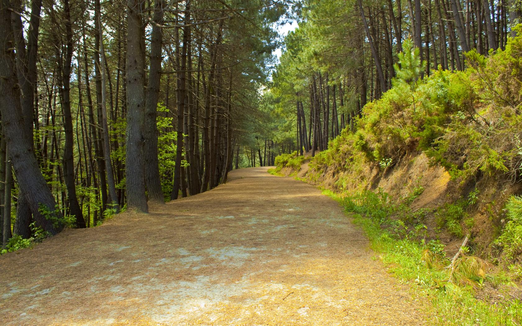 caminar por el campo salud mental 