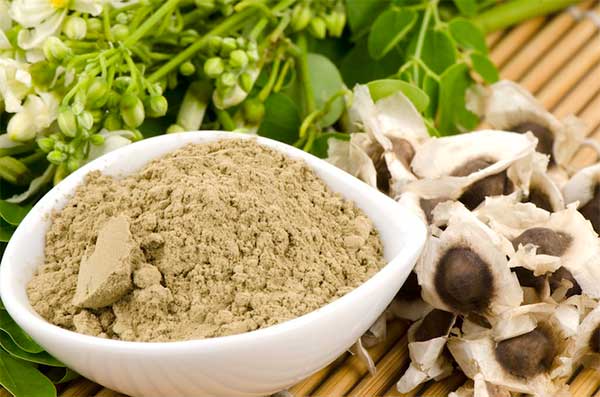 donde comprar semillas de moringa