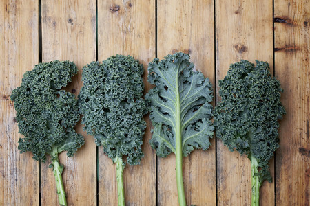 Kale