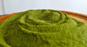 ¿Cuál es la mejor forma de tomar la moringa?