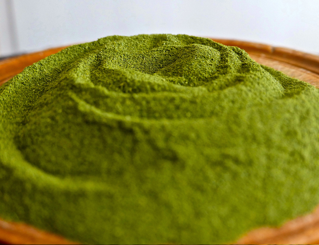 ¿Cuál es la mejor forma de tomar la moringa?