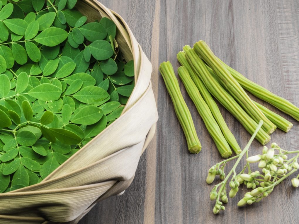 ¿Cuáles son las propiedades curativas de la moringa?