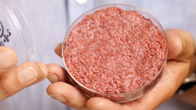 “Carne limpia”: la carne del futuro que no implicará crueldad animal