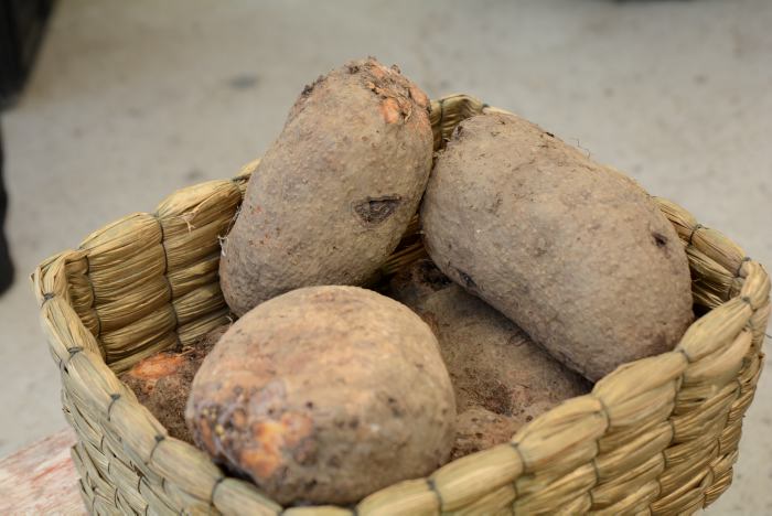 ¿Qué es el ñame? Cómo comer uno de los tubérculos más nutritivos