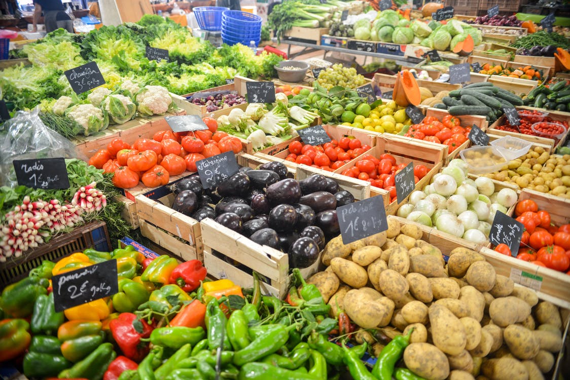 transicion a dieta vegetariana