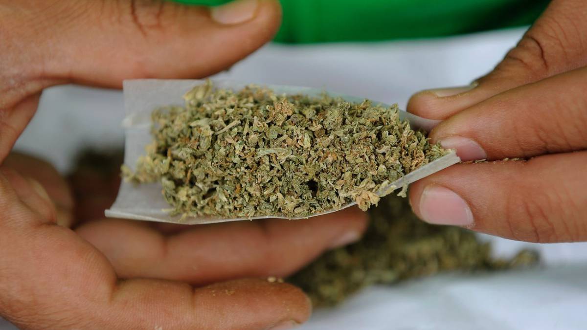 La marihuana es menos dañina para el cerebro que el alcohol