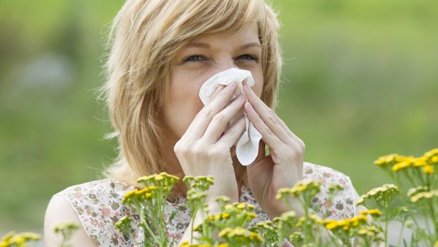 remedios caseros alergia primaveral