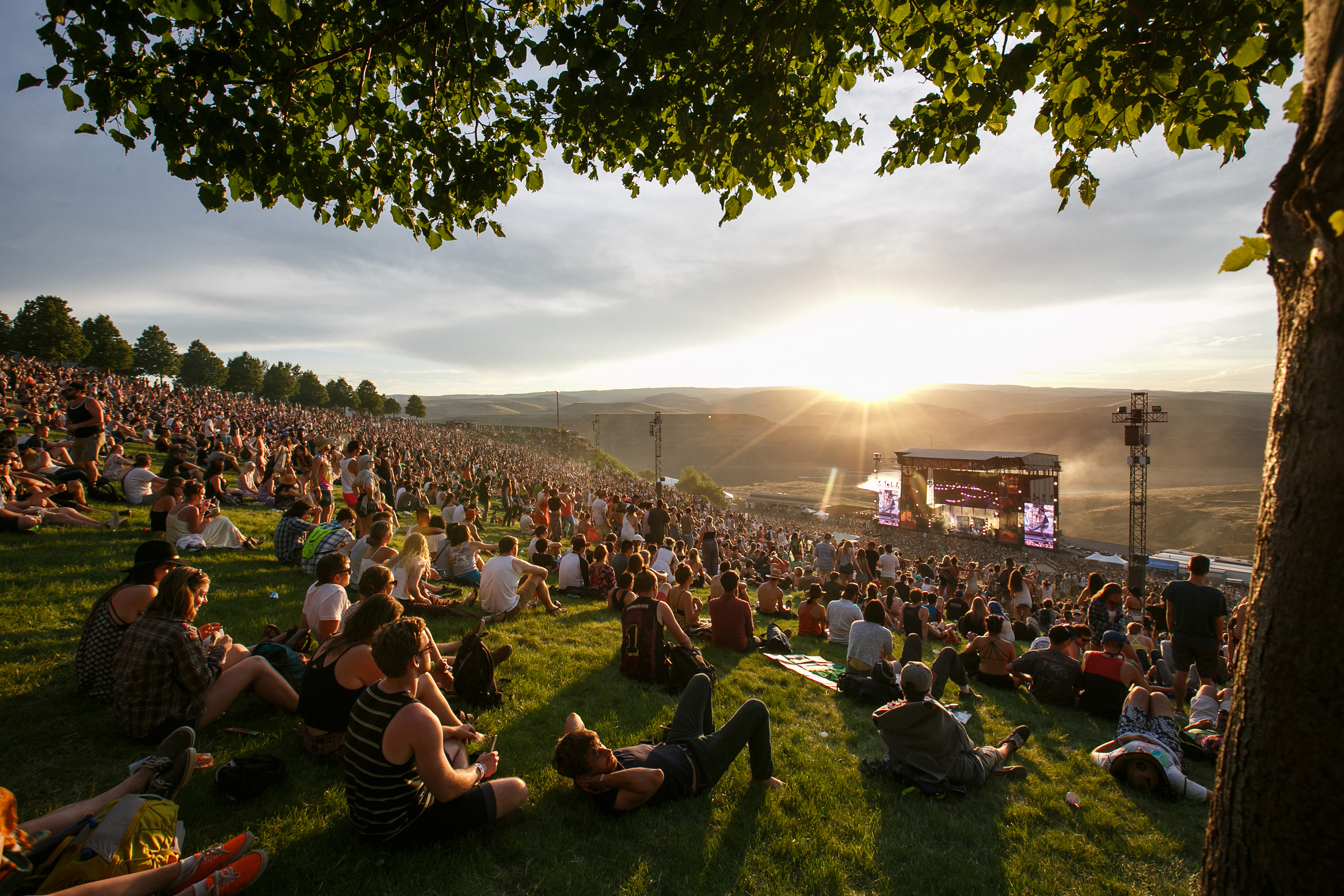 Cómo sobrevivir a un festival de verano