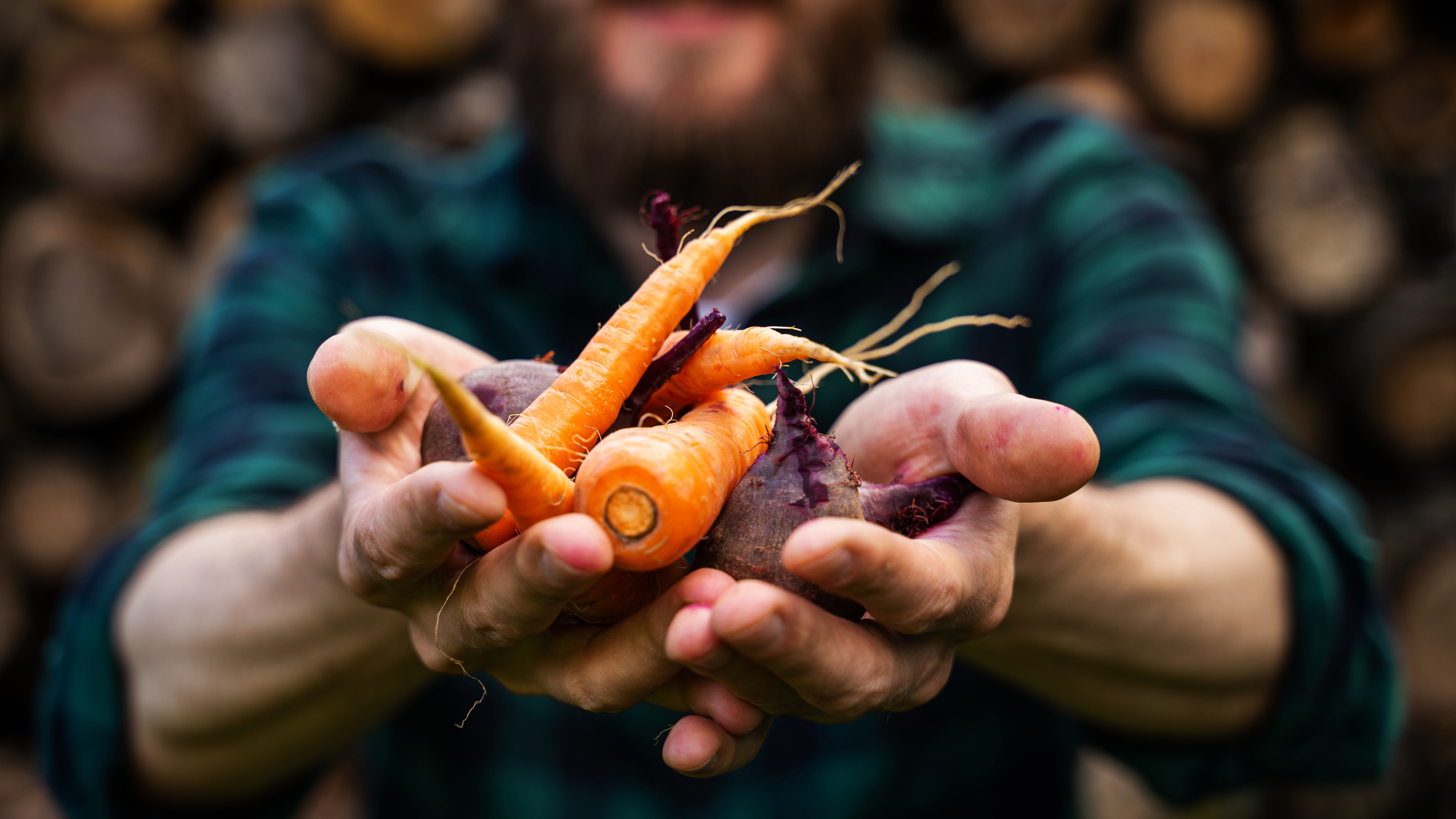 Alimentos saludables