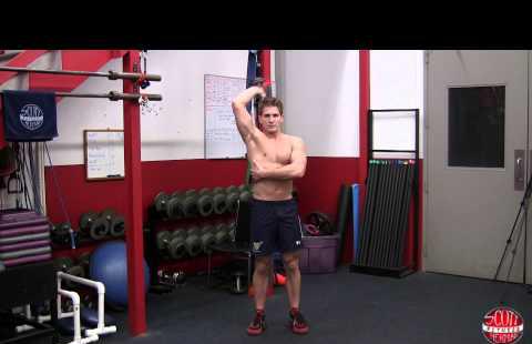 Los 6 mejores ejercicios de tríceps para construir brazos más grandes