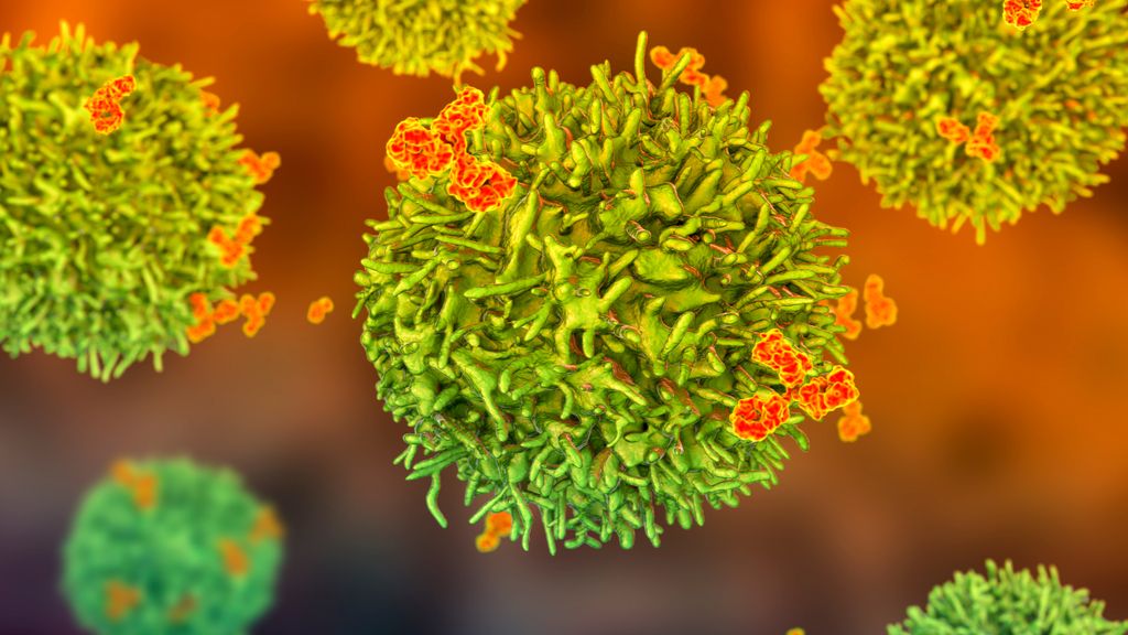¿Podría la inmunidad de COVID-19 durar décadas? Aquí está la ciencia.