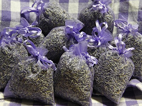 10 saquitos / seca de lavanda con auténtica lavanda francesa - Total 100g Flores de lavanda - de Quertee® 10 saquitos / seca de lavanda con auténtica lavanda francesa - Total 100g Flores de lavanda - de Quertee®