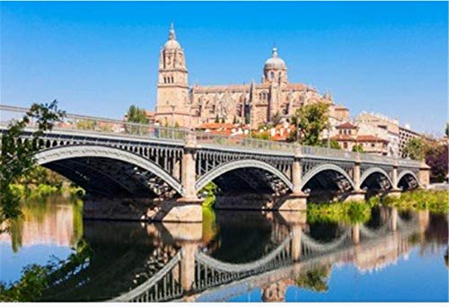 100/300/500/1000 piezas juego de rompecabezas juguetes para niños adultos,La catedral de Salamanca es una catedral del gótico tardío y barroco  Coordinación de lógica 3D Maze