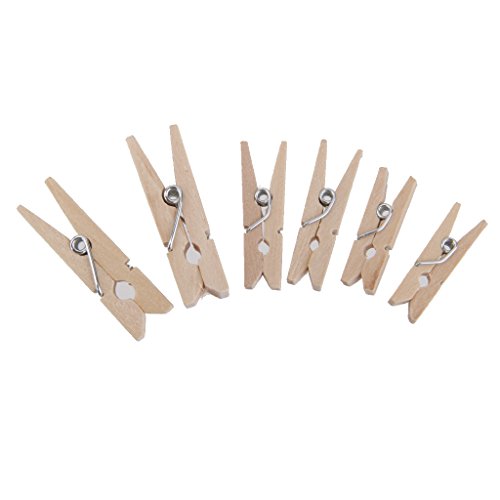 100x Clavijas Pinzas Contactos de Madera Naturales Ropa Foto Papel DIY Mini Clips 25 * 3mm 100x Clavijas Pinzas Contactos de Madera Naturales Ropa Foto Papel DIY Mini Clips 25 * 3mm