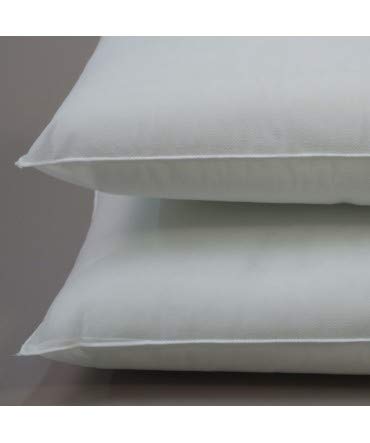 10XDIEZ Relleno cojin 2 Unidades - Relleno Suave y Esponjoso Que no se deforma - para Combinar con Cualquier Funda de cojín - Medidas cojin - 30x50cm 10XDIEZ Relleno cojin 2 Unidades - Relleno Suave y Esponjoso Que no se deforma - para Combinar con Cualquier Funda de cojín - Medidas cojin - 30x50cm