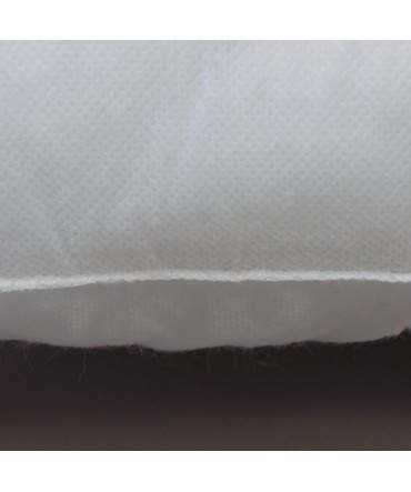 10XDIEZ Relleno cojin 2 Unidades - Relleno Suave y Esponjoso Que no se deforma - para Combinar con Cualquier Funda de cojín - Medidas cojin - 30x50cm 10XDIEZ Relleno cojin 2 Unidades - Relleno Suave y Esponjoso Que no se deforma - para Combinar con Cualquier Funda de cojín - Medidas cojin - 30x50cm