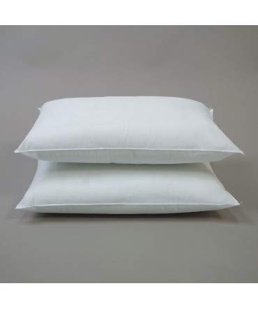 10XDIEZ Relleno cojin 2 Unidades - Relleno Suave y Esponjoso Que no se deforma - para Combinar con Cualquier Funda de cojín - Medidas cojin - 30x50cm 10XDIEZ Relleno cojin 2 Unidades - Relleno Suave y Esponjoso Que no se deforma - para Combinar con Cualquier Funda de cojín - Medidas cojin - 30x50cm