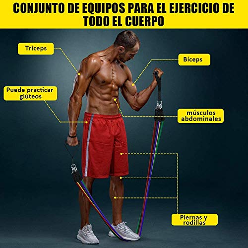 15Pcs Bandas Elásticas Resistencia Fitness, 5 Tubos de látex/Cubierta Protectora/Manijas/Ancla de Puerta/Correas de Tobillo, 5 Bandas Elásticas,Crossfit (Bandas Elásticas + Cintas Elástica)