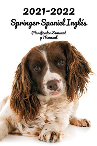 2021-2022 Springer Spaniel Inglés Planificador Semanal y Mensual: 152 Páginas | Tamaño A5 | 26 Meses | Una semana por página | Planificador | Perro | En Español | Diario de bolsillo 2021-2022 Springer Spaniel Inglés Planificador Semanal y Mensual: 152 Páginas | Tamaño A5 | 26 Meses | Una semana por página | Planificador | Perro | En Español | Diario de bolsillo