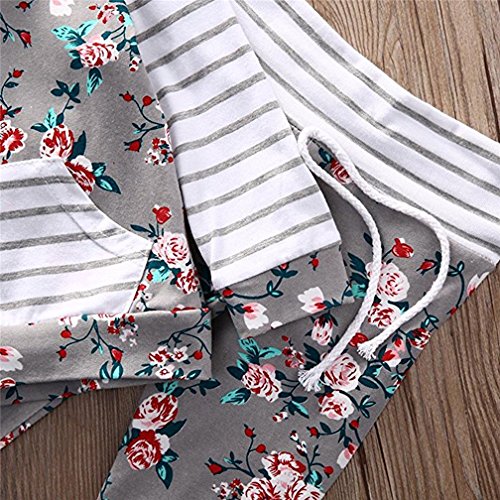 2pcs Infantil NiñAs Ropa Conjuntos Rosa ImpresióN Raya Manga Larga Tops Encapuchado + Rosa Pantalones (80cm/6-12 Meses) 2pcs Infantil NiñAs Ropa Conjuntos Rosa ImpresióN Raya Manga Larga Tops Encapuchado + Rosa Pantalones (80cm/6-12 Meses)