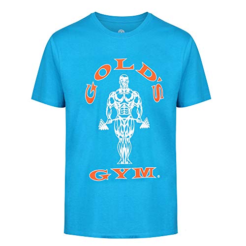 camisetas de entrenamiento gym