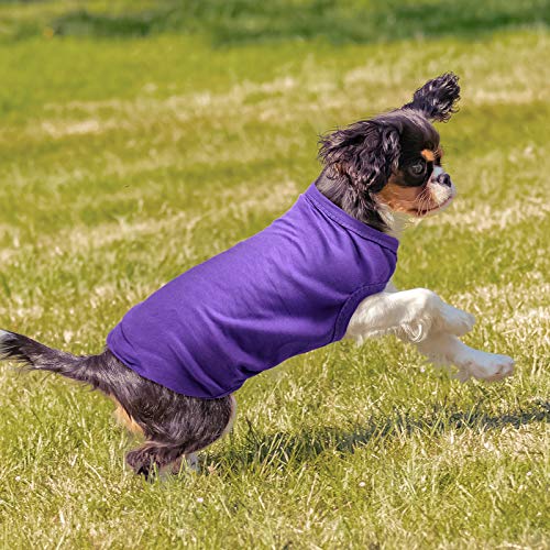 8 Piezas Camisas para Perros Ropa en Blanco para Mascota Cachorro Camiseta de Verano para Perros Camisa Lisa Suave Transpirable para Perros Ropa de Algodón de Perrito Traje para Mascota (S)
