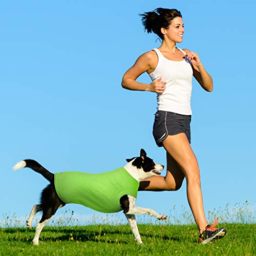8 Piezas Camisas para Perros Ropa en Blanco para Mascota Cachorro Camiseta de Verano para Perros Camisa Lisa Suave Transpirable para Perros Ropa de Algodón de Perrito Traje para Mascota (S) 8 Piezas Camisas para Perros Ropa en Blanco para Mascota Cachorro Camiseta de Verano para Perros Camisa Lisa Suave Transpirable para Perros Ropa de Algodón de Perrito Traje para Mascota (S)