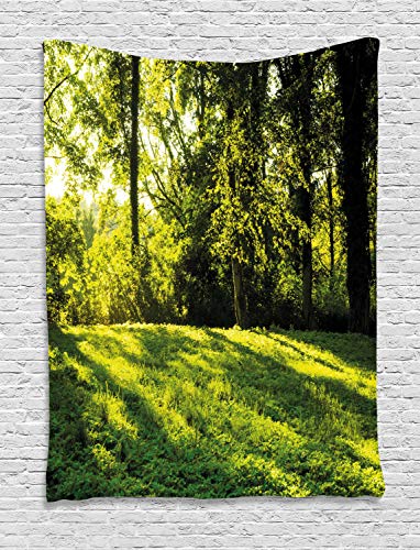 ABAKUHAUS Verde Tapiz de Pared, Rising Sun Vigas Bosque, para el Dormitorio Apto Lavadora y Secadora Estampado Digital, 100 x 150 cm, Verde